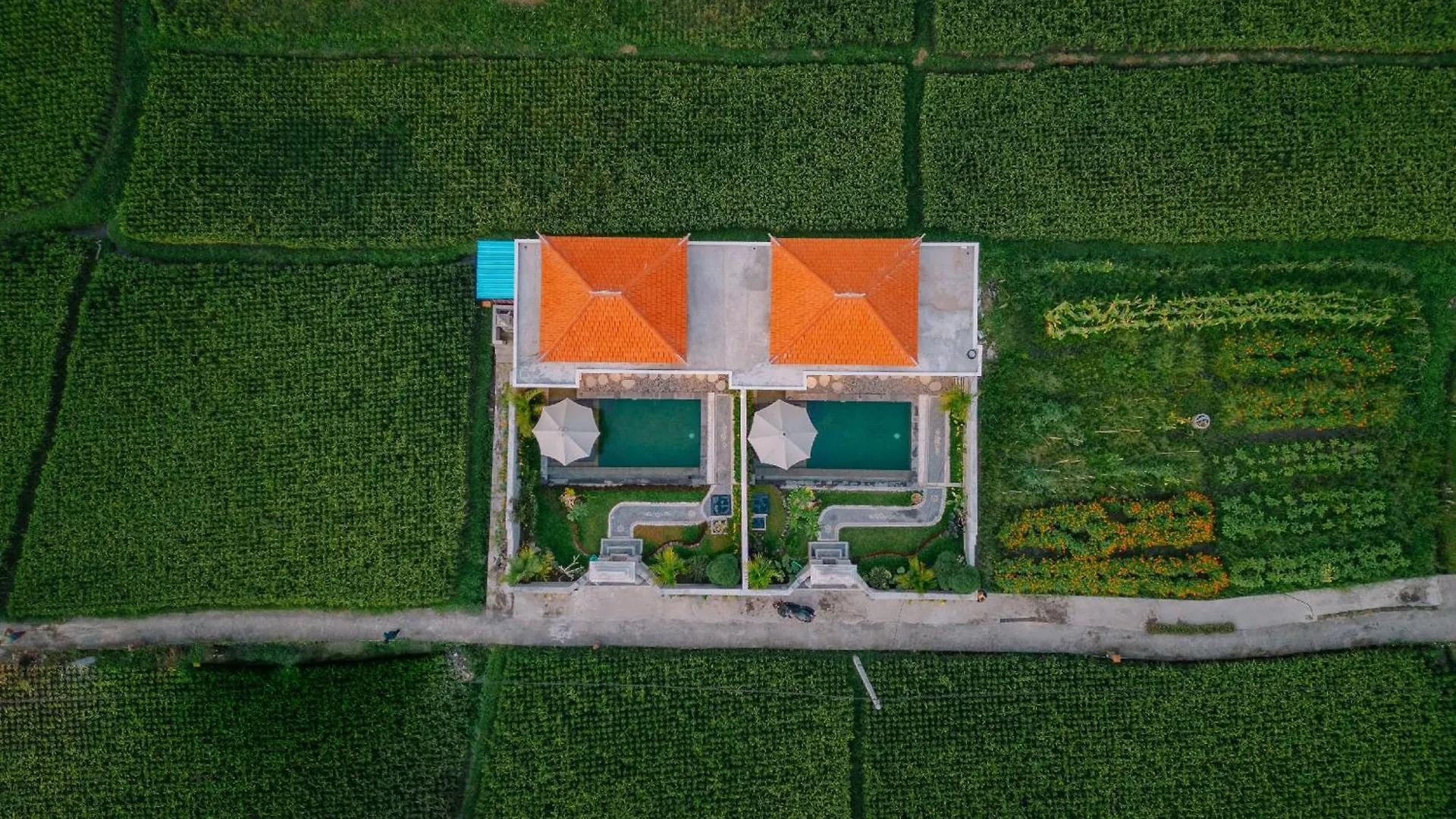 Arca Bali Private Pool Villa Ubud