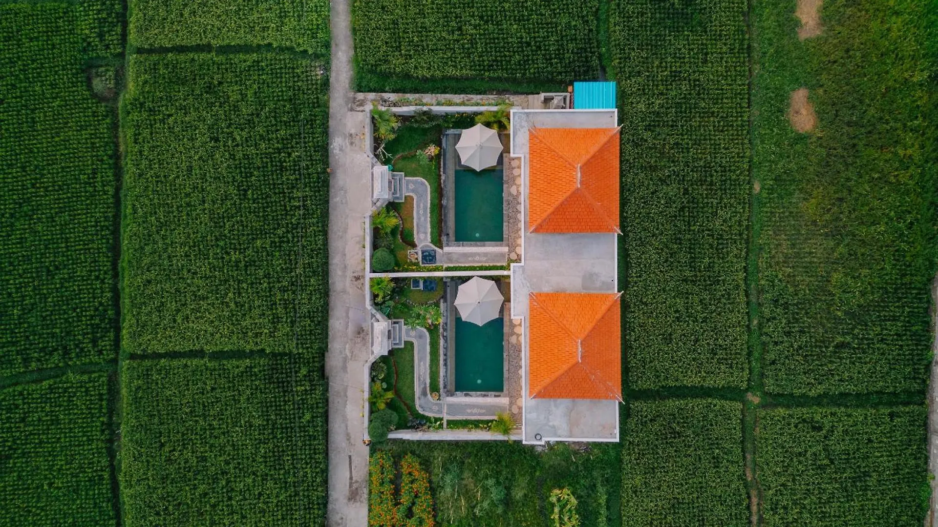 Arca Bali Private Pool Villa Ubud  Indonesia